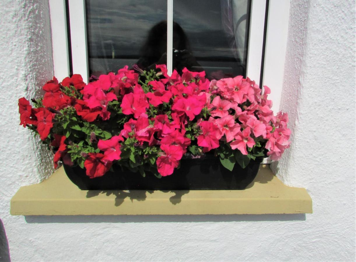 Breacan Cottage B&B Kinvara Esterno foto